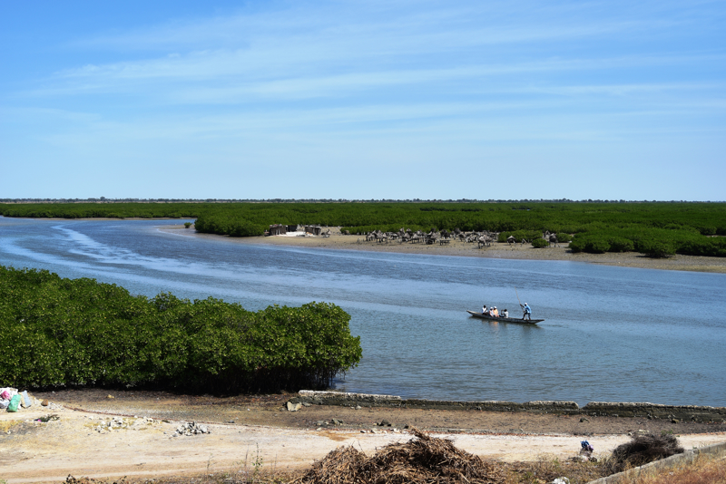 ΣΑΛΙ - ΤΖΟΑΛ ΦΑΤΖΟΥΤ - ΦΑΝΤΙΑΛ - ΣΑΛΙ