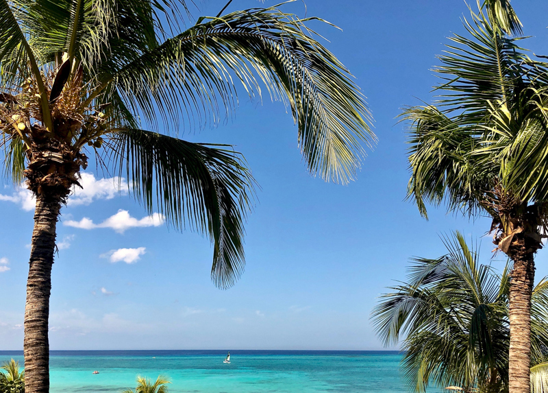 Η πανέμορφη Πλάγια Εσμεράλδα