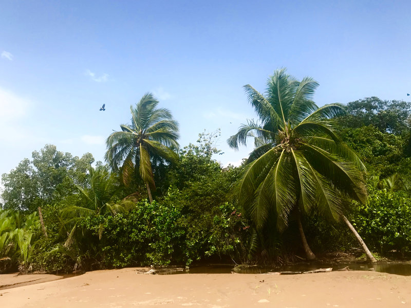 Βόλτα στην Παραλία Arena Blanca