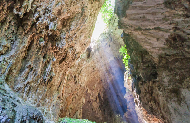 ΦΛΟΡΕΣ – ΣΠΗΛΑΙΟ ΝΤΕ ΚΑΝΤΕΛΑΡΙΑ – ΚΟΜΠΑΝ