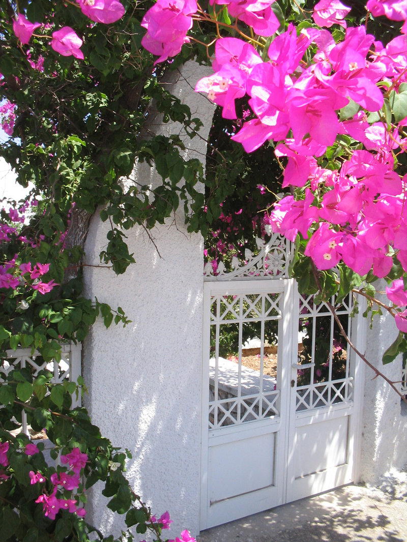 Γύρος Νησιού - Αληθινή – Πασχαλινό γεύμα