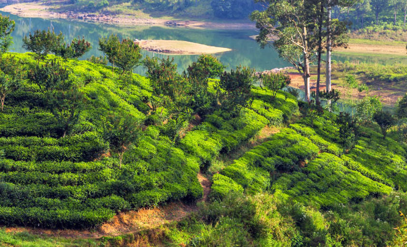 Επίσκεψη στους κήπους του Ματάλε 