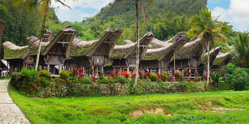 Ινδονησία: Δυτική Παπούα, Ιάβα, Σουλαβέσι, Μπαλί, με φυλή Τοράγιας