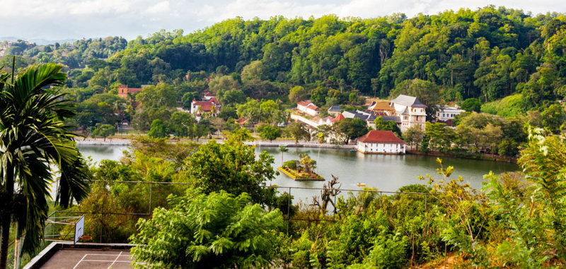 H καταπράσινη Κάντυ 
