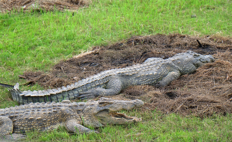 Η πρωτεύουσα Γιαμουσούκρο