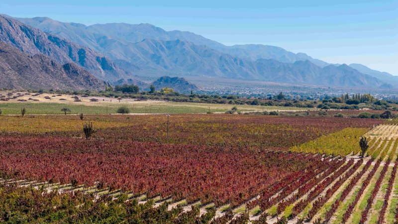 ΣΑΛΤΑ – ολοήμερη εκδρομή στο ΚΑΦΑΓΙΑΤΕ με επίσκεψη σε οινοποιείο και γευσιγνωσία κρασιού