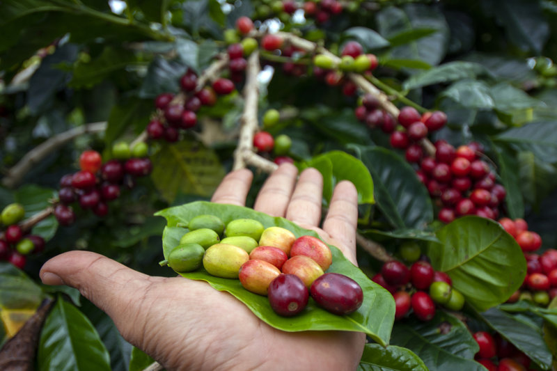 Tα προϊόντα των Υψιπέδων 