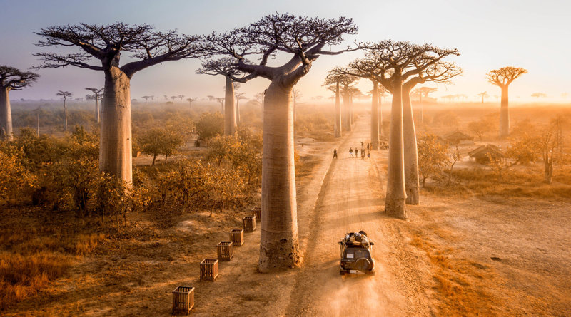 ΤΟΥΛΕΑΡ – ΡΑΝΟΧΙΡΑ 