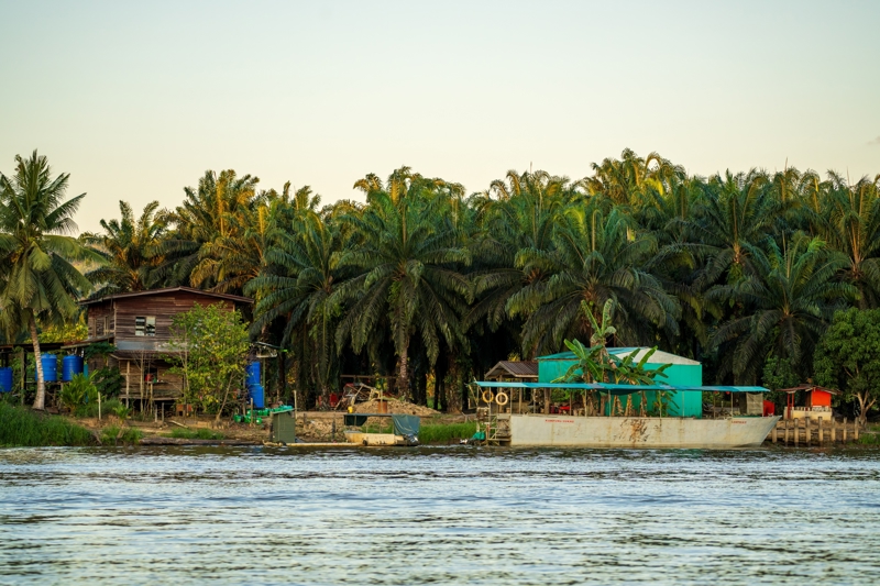 Βαρκάδες στη ζούγκλα Κιναμπαταγκάν