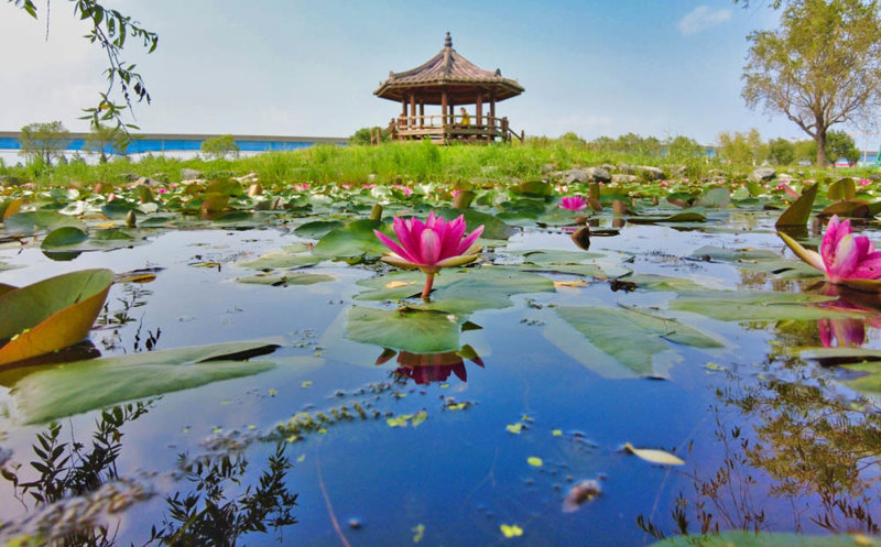 Μπουσάν, Κορέα