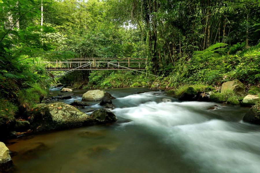 Ράφτινγκ στον ποταμό Ayung