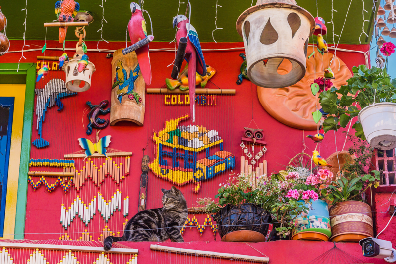 ΚΑΡΘΑΓΕΝΗ – πτήση επιστροφής 