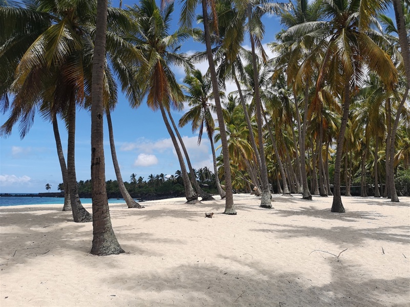  Μεγάλη Κομόρα (Νησιά Κομόρες)