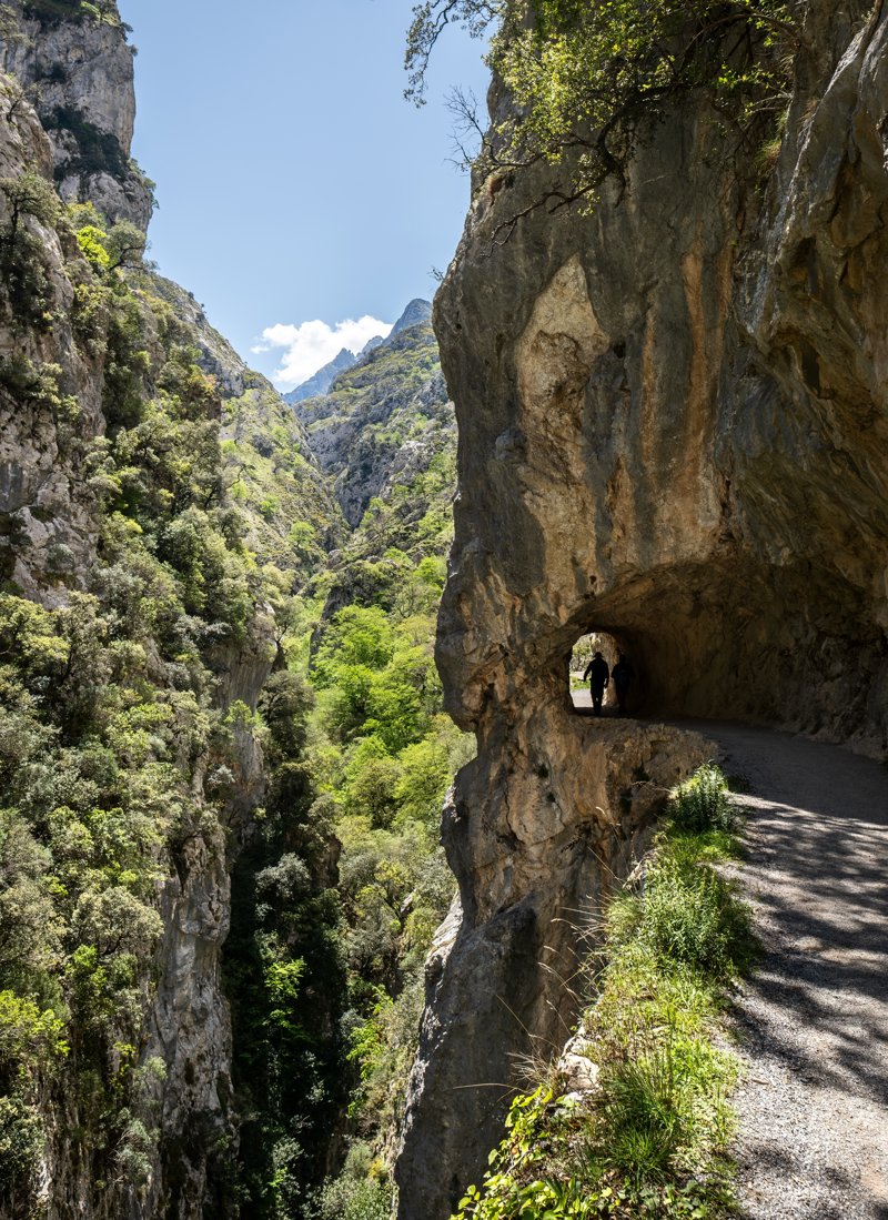Ένα πλήρες πρόγραμμα του Versus