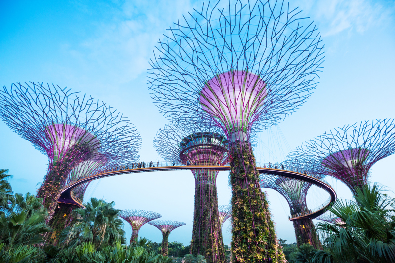 Gardens by the Bay, Σιγκαπούρη