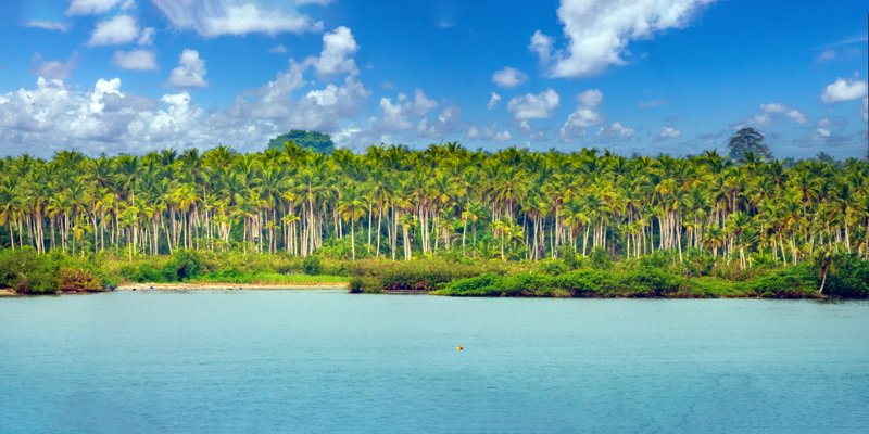 Ακτή Ελεφαντοστού - Μια συγκλονιστική περιήγηση για ανήσυχους ταξιδιώτες