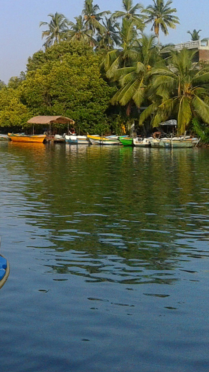 Ιδιαίτερες δραστηριότητες 