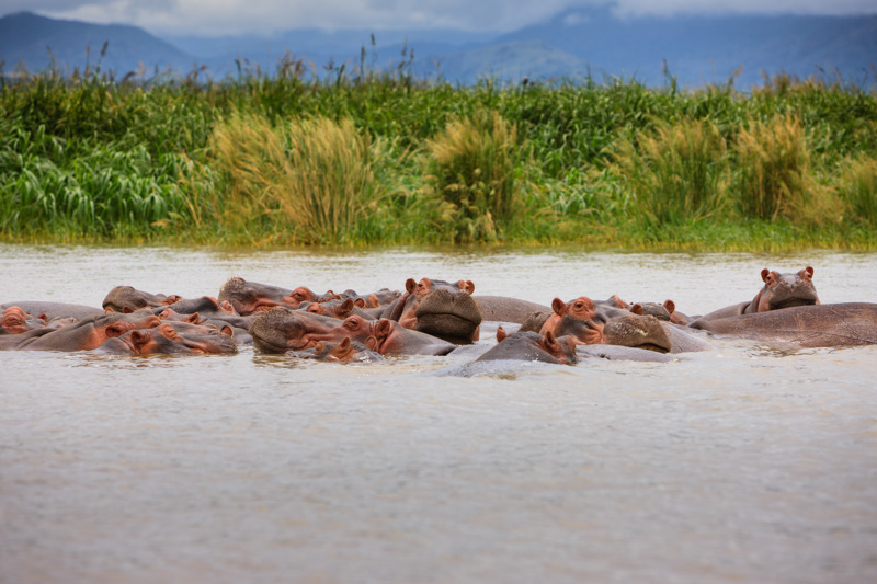 Βαρκάδα στη λίμνη Τσάμο