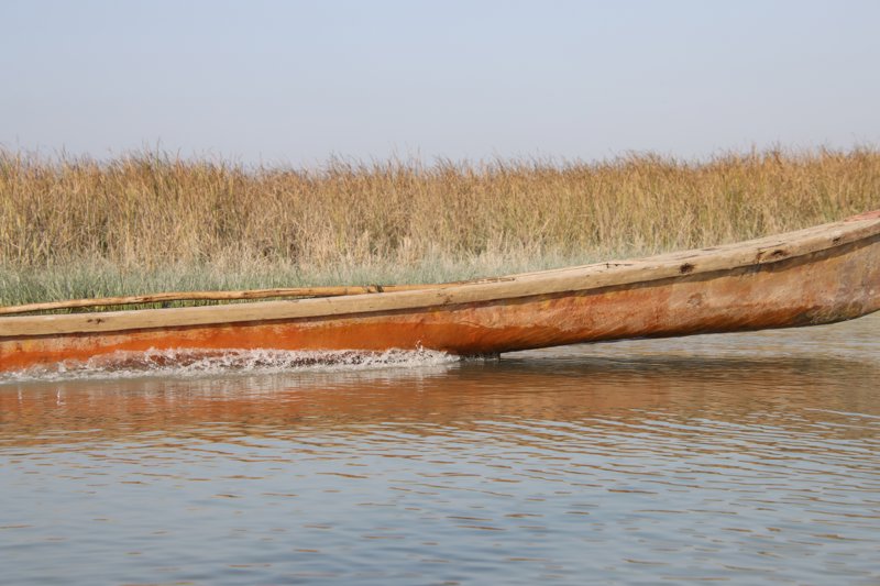Οι βαλτότοποι του Νότιου Ιράκ