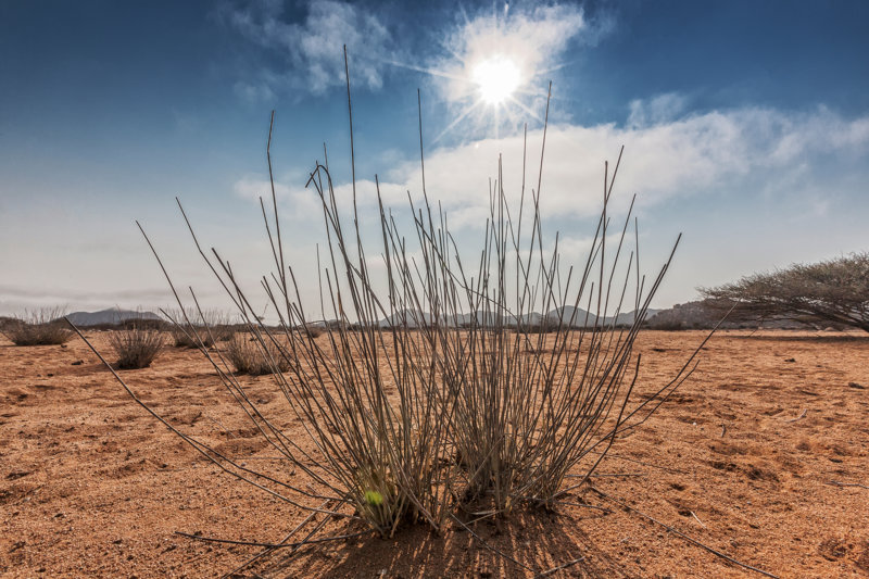 Εσπινιέιρα, ένας οικολογικός παράδεισος