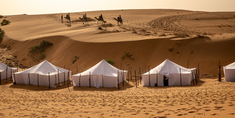 Μια νύχτα κάτω απο τα αστέρια 