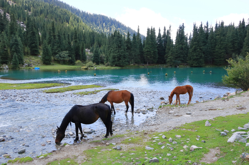 Κεντρική Ασία - Στις εσχατιές του Μέγα Αλέξανδρου, Καζακστάν – Κιργιστάν – Τατζικιστάν – Ουζμπεκιστάν 