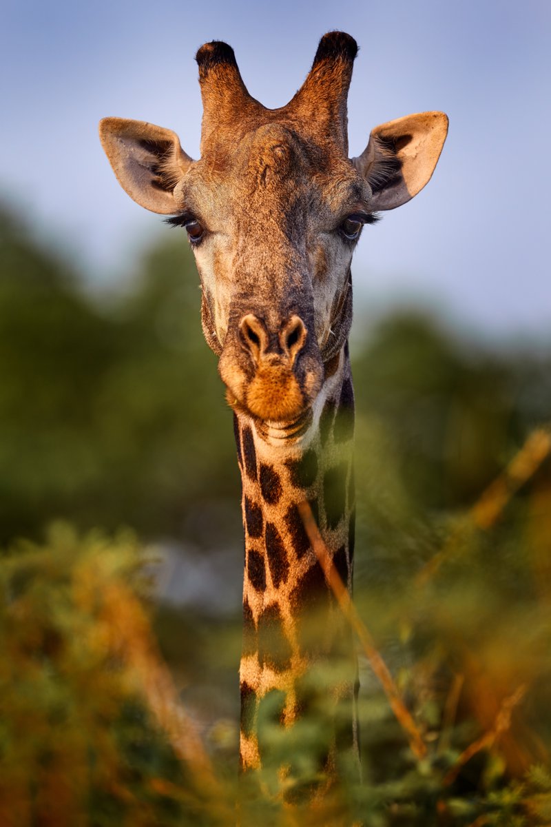 Μοναδικές δραστηριότητες με το Versus