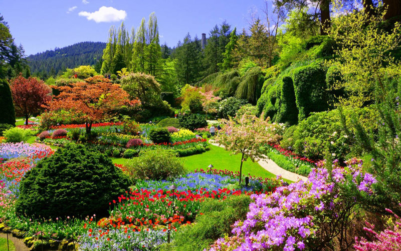 Κήποι Μπούτσαρτ