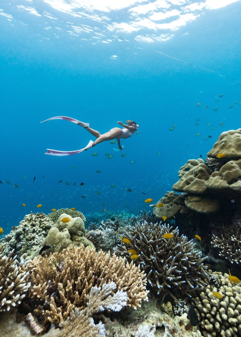 Σνόρκελινγκ στο Αρχιπέλαγος Μπαζαρούτο