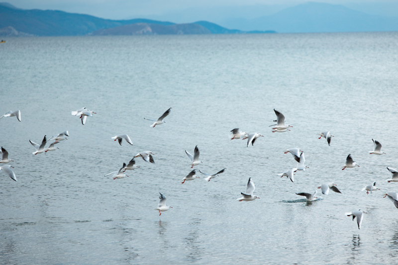 Απολαύστε τη λίμνη Οχρίδα