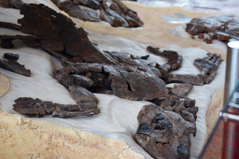 Το Mουσείο Oρυκτών στη Βίγια ντε Λέιβα