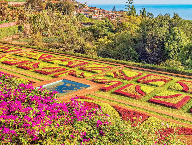 Ξεναγούμαστε στη Φουντσάλ & ανεβαίνουμε με τελεφερίκ στο υπέροχο Μόντε