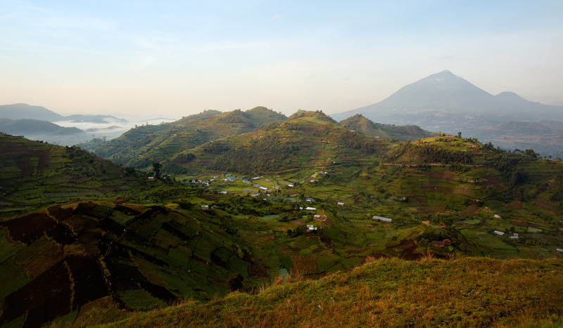 ΓΚΙΣΕΝΙ (Λίμνη Κίβου): Κρουαζιέρα στο νησί Nyamirundi (Φυτεία καφέ) – CHANIKA (Διάσχιση συνόρων) – ΕΘΝΙΚΟ ΠΑΡΚΟ ΜΓΚΑΧΙΝΓΚΑ (Ουγκάντα) – ΛΙΜΝΗ ΜΟΥΛΕΧΕ