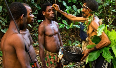 Συνάντηση με τους "φύλακες του τροπικού δάσους" 