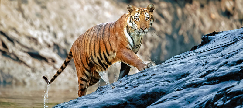 Εθνικό Πάρκο Τσιτουάν