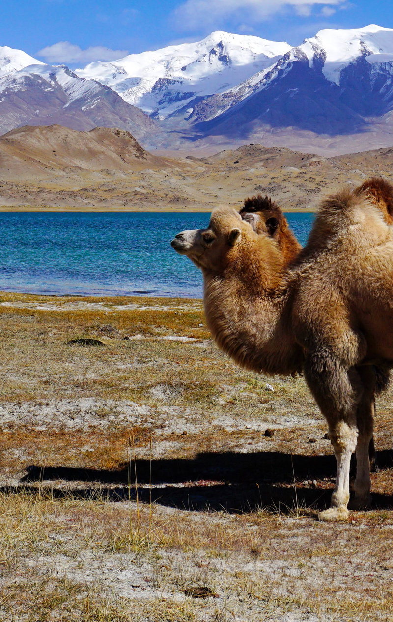 Θα θαυμάσουμε τη λίμνη Καρακούλ του Tατζικιστάν