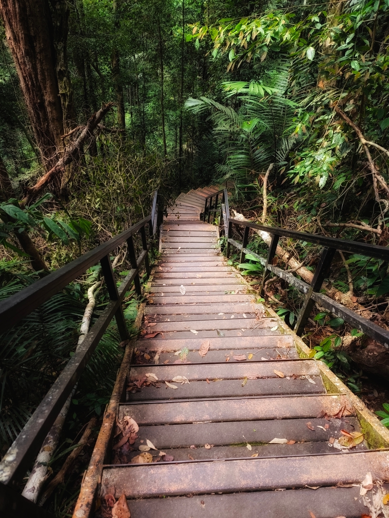 Ταμάν Νεγκάρα, Μαλαισία