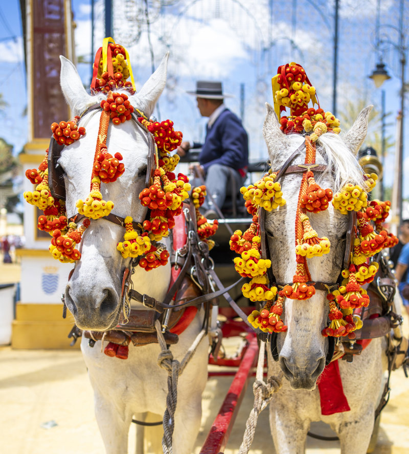 Απολαμβάνουμε τις γιορτές της Άνοιξης (Ferias de Andalucia)
