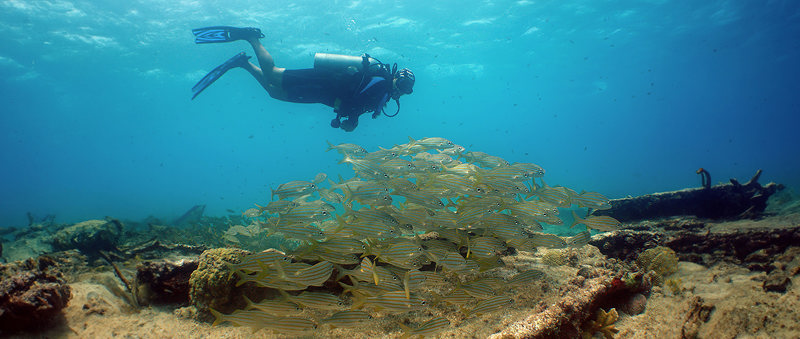 Ανακαλύπτουμε τους πανέμορφους βυθούς της Αρούμπα 