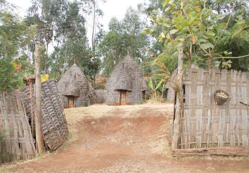 Η φυλή των Ντόρζε