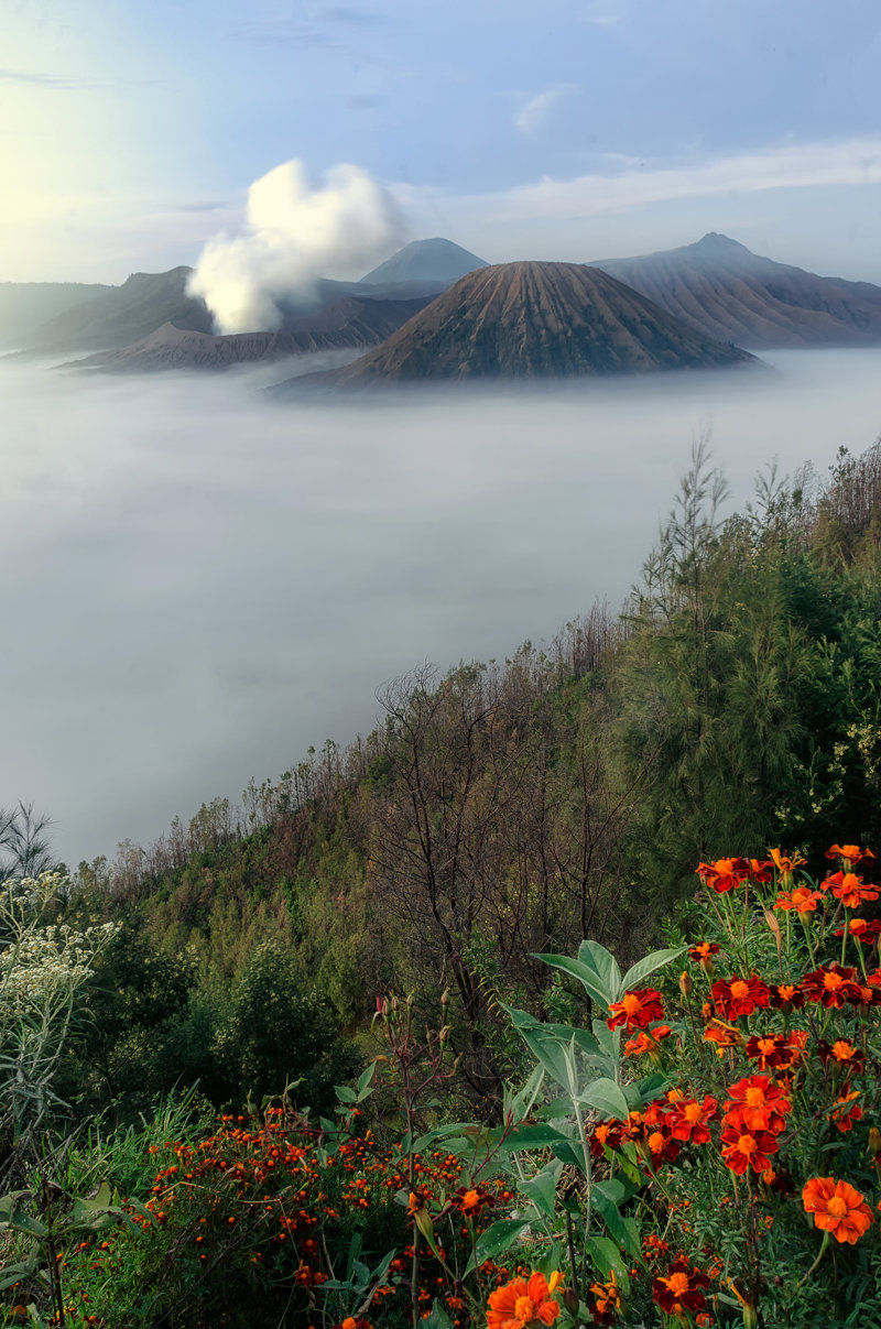 Διαδρομή με jeep 4X4 στο Εθνικό Πάρκο Μπρόμο