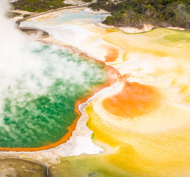 ΟΚΛΑΝΤ – ΣΠΗΛΑΙΑ ΓΟΥΑΪΤΟΜΟ – ΡΟΤΟΡΟΥΑ 