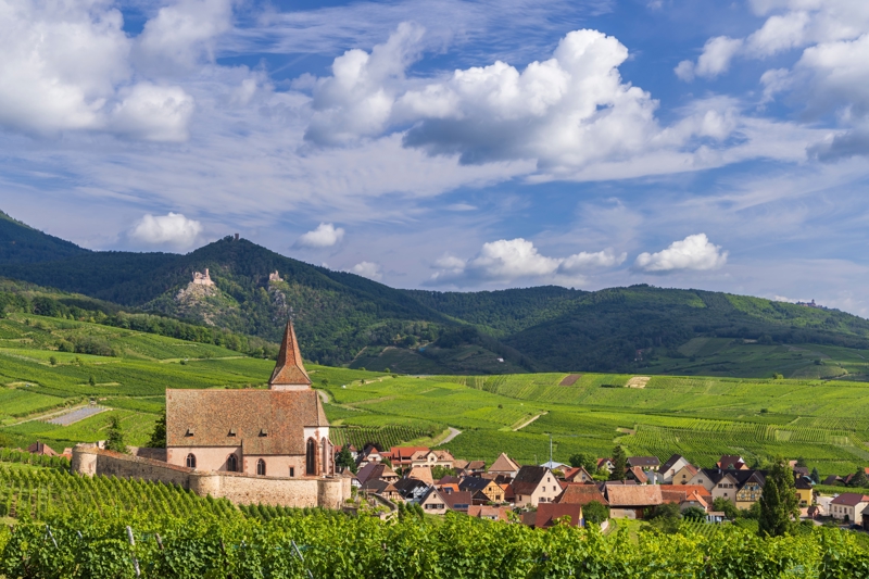 Οι ατελείωτοι αμπελώνες του Ρικβίρ