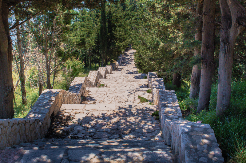 Επίσκεψη στο Μουσείο Εσπεριδοειδών στον Κάμπο