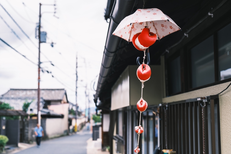 ΟΣΑΚΑ (ξενάγηση) - ΝΑΡΑ - ΟΣΑΚΑ -ΠΤΗΣΗ ΕΠΙΣΤΡΟΦΗΣ 