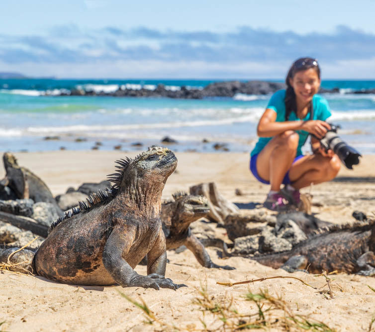 Τα ιγκουάνα 