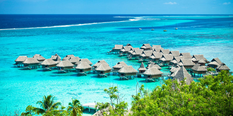 Moυρέα, Μπόρα Μπόρα