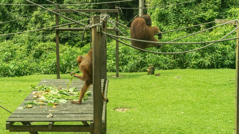 Περιηγηθείτε στο Σεπιλόκ