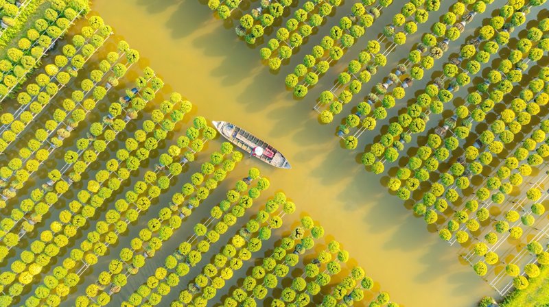 Θα κάνουμε βαρκάδα και ποδηλασία στο Δέλτα του Μεκόνγκ 