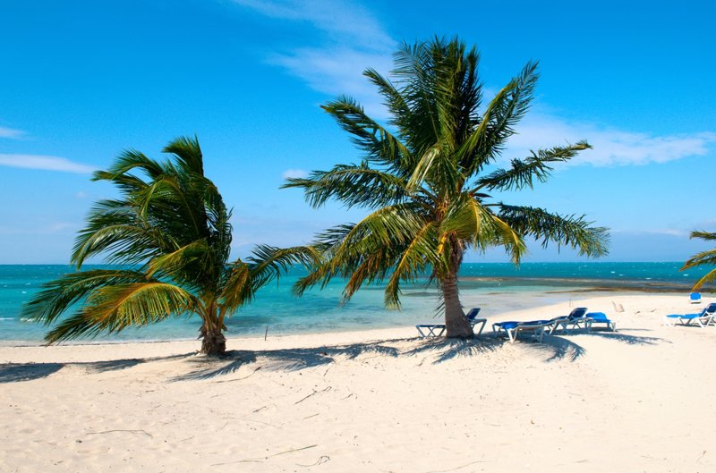 Το Cayo Iguana